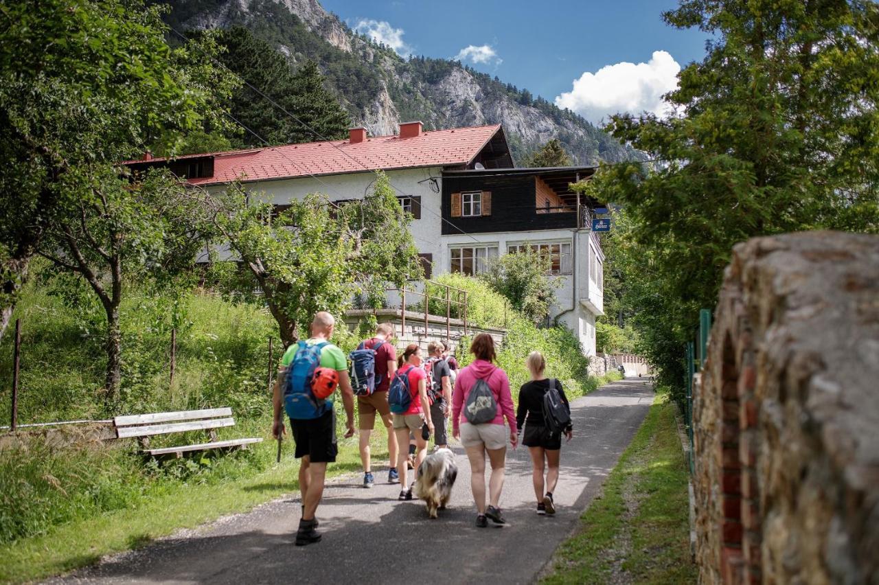 Berghof Seiser Toni Oberhoflein 외부 사진
